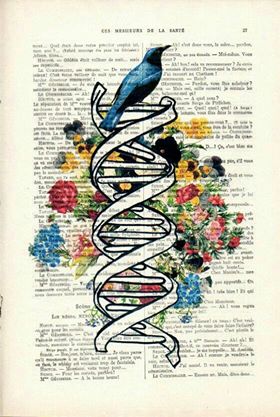 numerologia