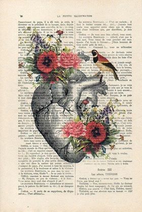 numerologia