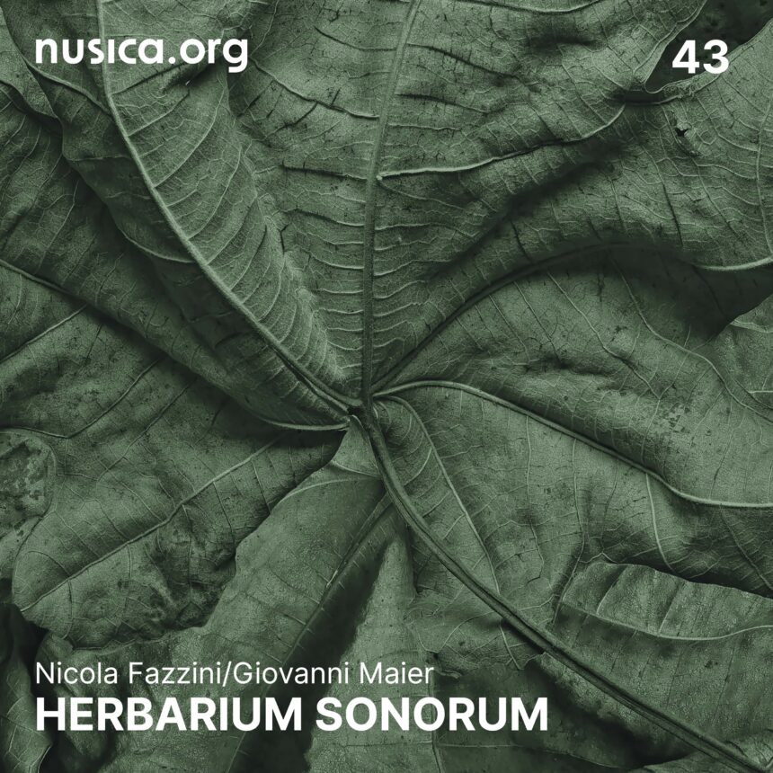 Copertina del disco Herbarium Sonorum di Nicola Fazzini e Giovanni Maier