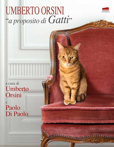 A proposito di gatti