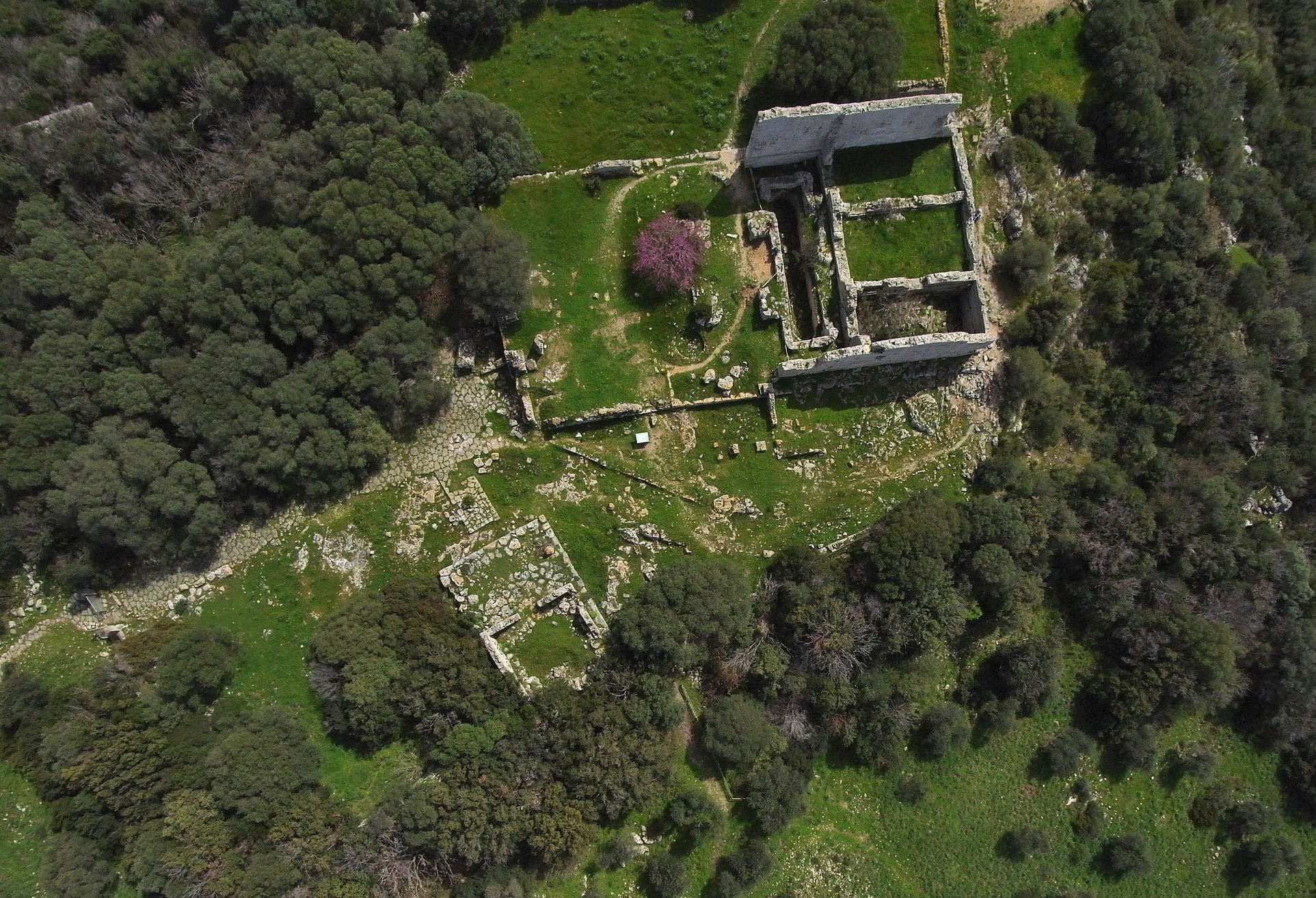 Museo archeologico nazionale