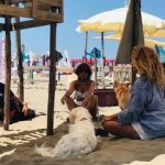 Baubeach