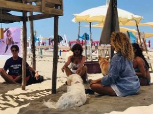 Baubeach
