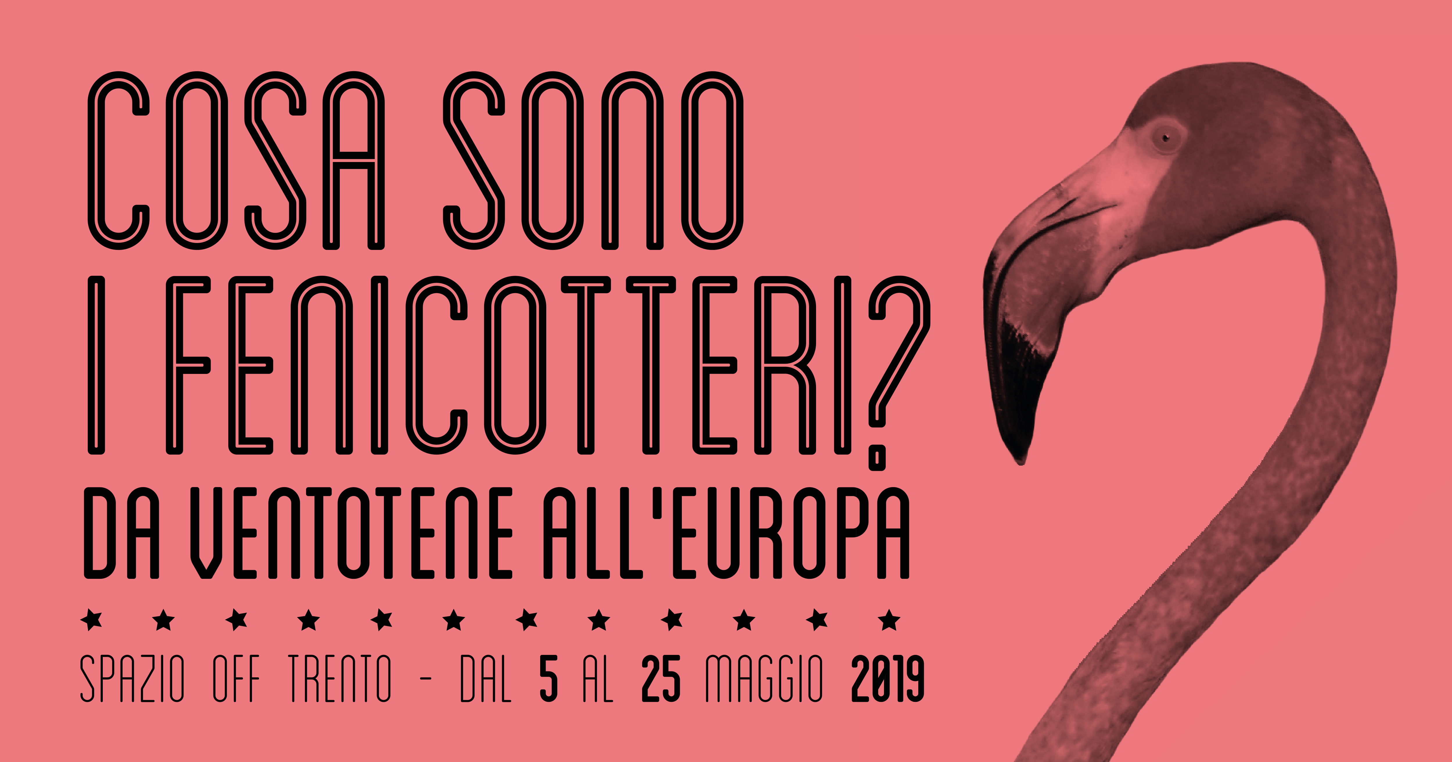 Cosa sono i fenicotteri?