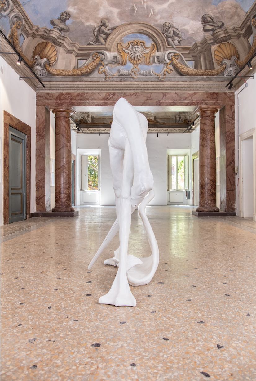 Installazione 2018 Dario Ghiubaudo