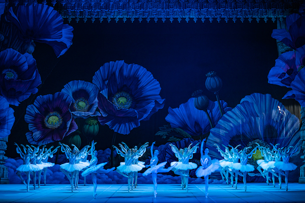 La Bayadère_ph Fabrizio Sansoni-Opera di Roma 2023_7986