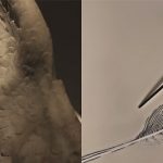 Giornata Internazionale dei Musei