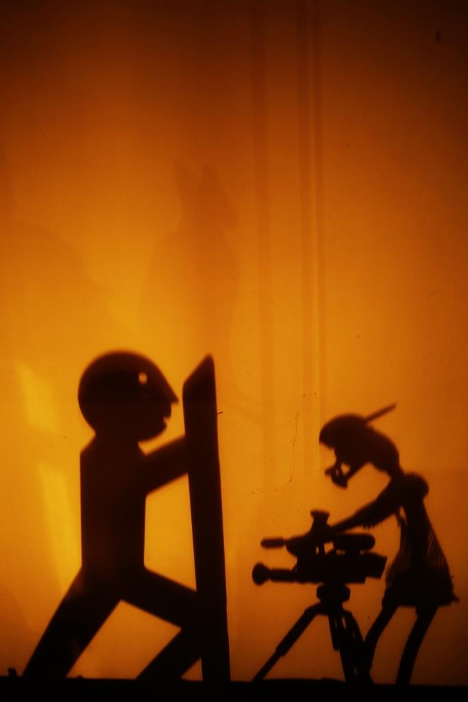 Reggio Film Festival