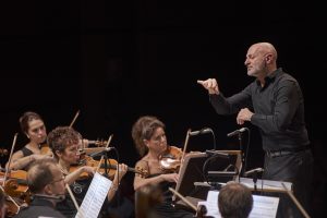 il cervello musicale