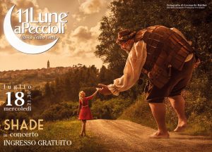 Shade concerto