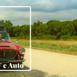 auto “cult”