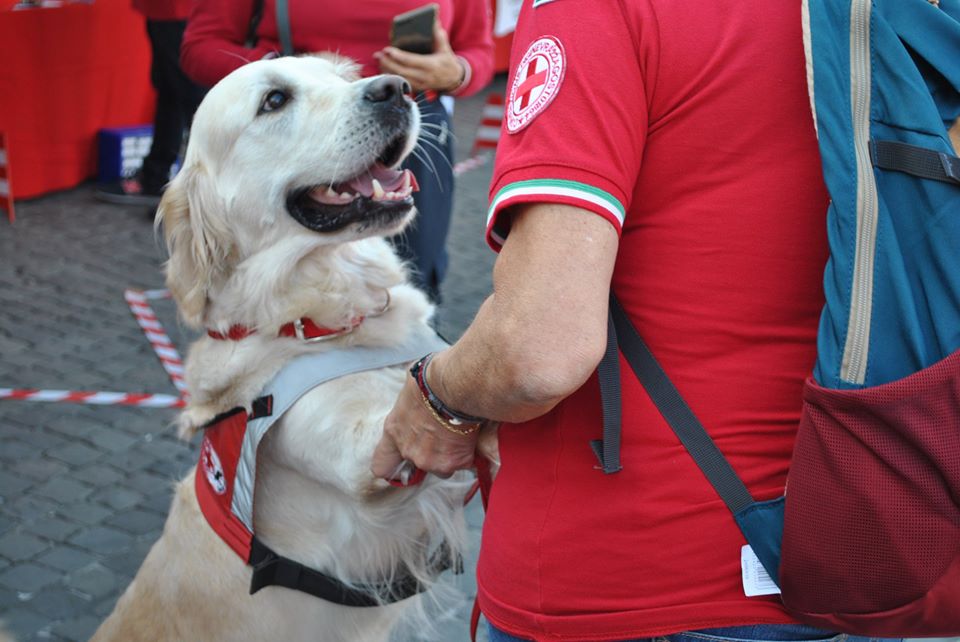 Storie di animali