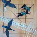 Trento Y Generation Festival