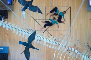 Trento Y Generation Festival 